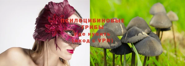 винт Липки