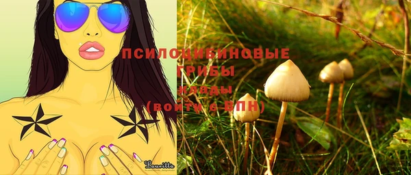 экстази Краснослободск