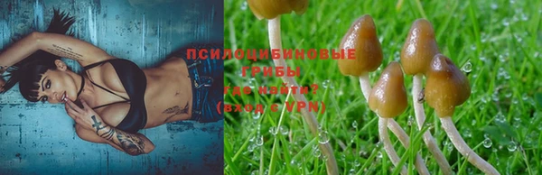 экстази Краснослободск