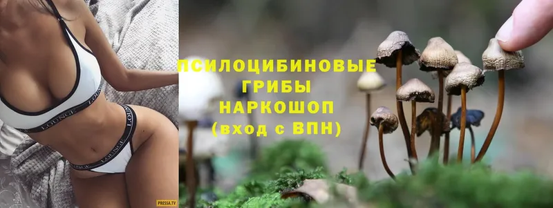Галлюциногенные грибы GOLDEN TEACHER  Обнинск 
