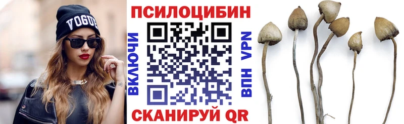 Галлюциногенные грибы прущие грибы  hydra tor  Обнинск 