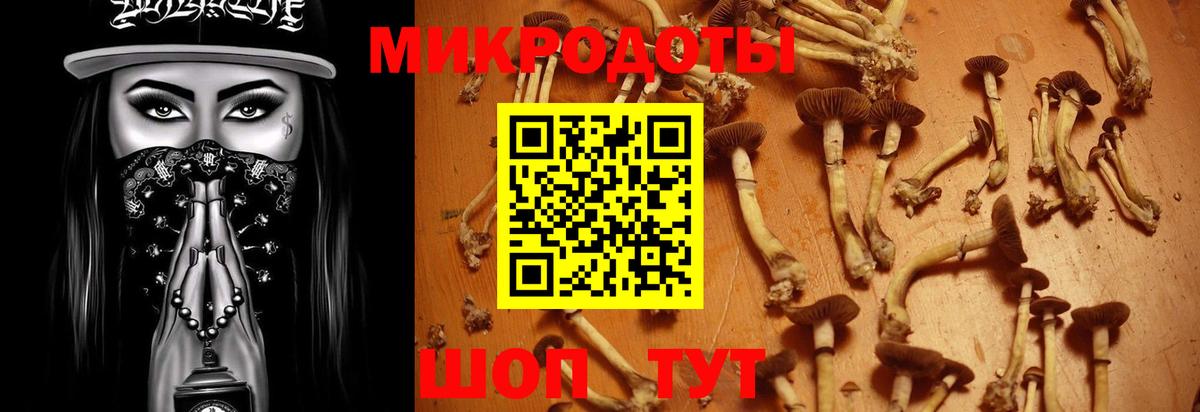 Псилоцибиновые грибы MAGIC MUSHROOMS  Вход с VPN  закладки  Обнинск  Псилоцибиновые грибы Psilocybine cubensis 